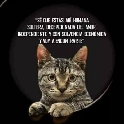 DCraig2020's profile picture. .