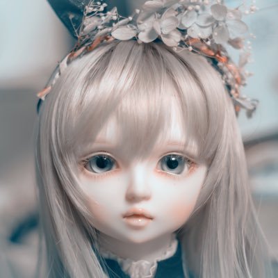 くまみみさんのプロフィール画像