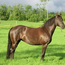 Vincent Land - @Armenato - Twitter