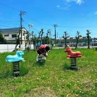 ばかい (@t_gxb) 's Twitter Profile