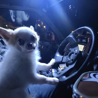 こーさんのプロフィール画像