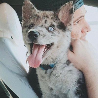 zello12345's profile picture. 🌎☄️💕®︎