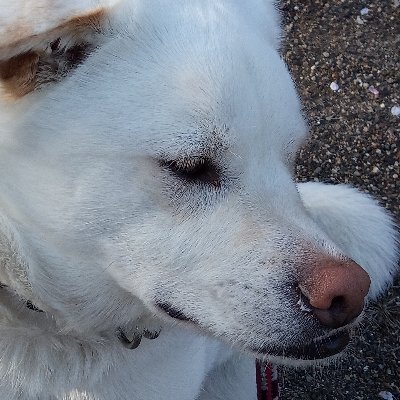 H1fD3sFptXxpbIc's profile picture. 仮想通貨に興味津々の初心者