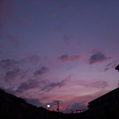 鶯坂(おうさか)さんのプロフィール画像
