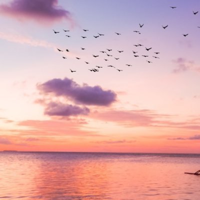 Jhon_Black100's profile picture. My tweets are not financial or investment advice.