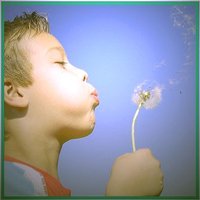 Mooi Flevoland (@mooiflevoland) 's Twitter Profile