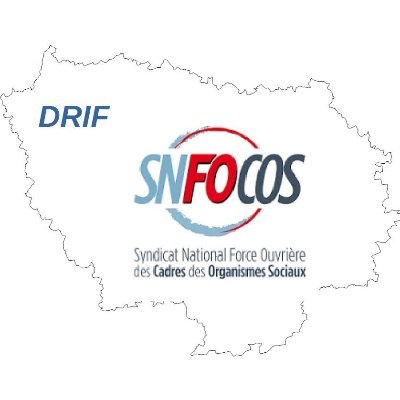 Délégation Régionale Ile de France du Syndicat National Force Ouvrière des Cadres des Organismes Sociaux #DRIF #SNFOCOS #iledefrance #SecuriteSociale #FO