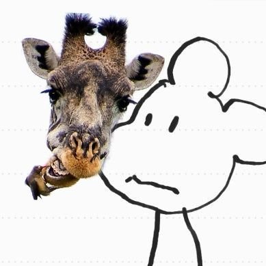ピロウさんのプロフィール画像