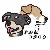 【ミックス犬】アルとコタロウ（健伍）(@al__kotarou) 's Twitter Profile Photo