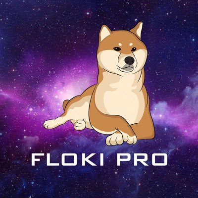 FlokiPro Profile