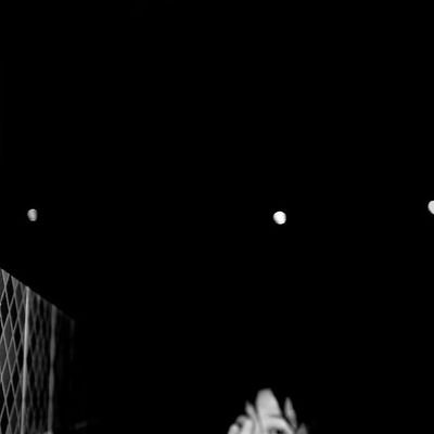 papowifey's profile picture. ✨