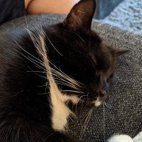 Beth (@b3th3j) 's Twitter Profile Photo