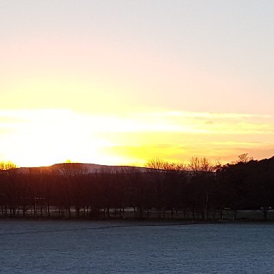 SLT South Downs Therapy Profile