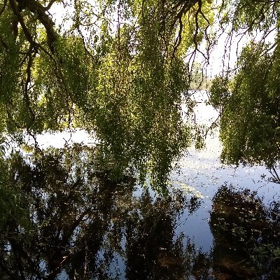 TomCamp73209809's profile picture. 