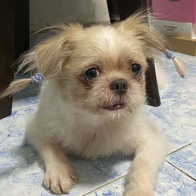 greamdream's profile picture. 