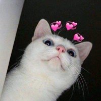 Farrizal🐱 (@0xseimee) 's Twitter Profile