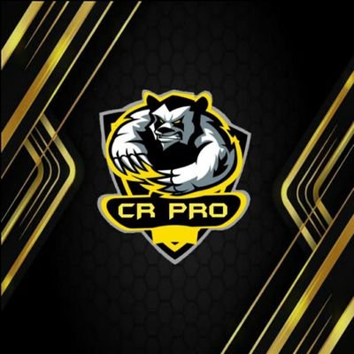 CR PRO Profile
