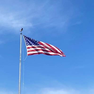 MightyJohnQ's profile picture. 