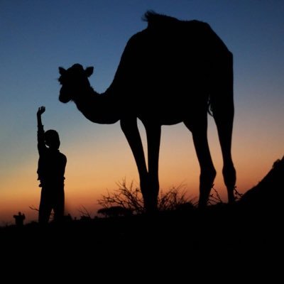 MeedoGelle's profile picture. 
