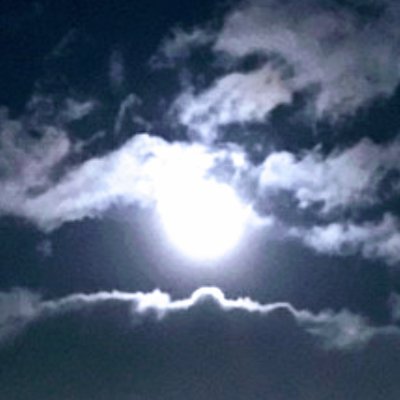 月子🌙🌕️✨さんのプロフィール画像