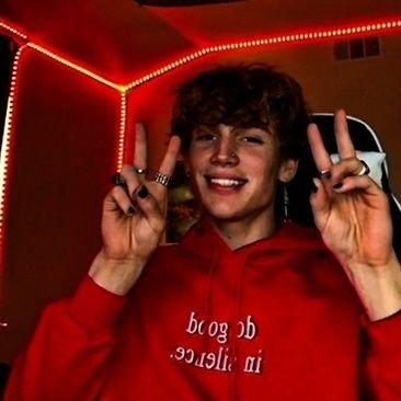 vithoryaluiza_'s profile picture. 🕷️