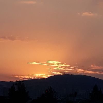 Wpjs3's profile picture. 