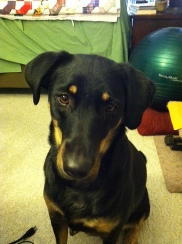 chucklaw3's profile picture. 