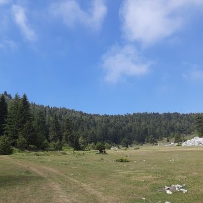 cetinerk2's profile picture. Müzmin Bir Hunili...

Biz Akıllanmayız Doktor Sen Delir...
P.D