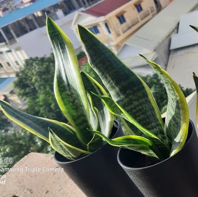 Dyadyun3's profile picture. 