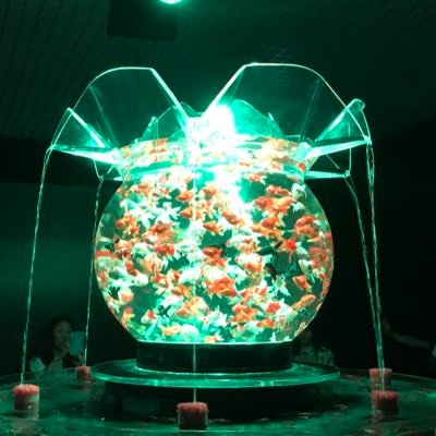 マイペース婚活中。おもしろかったらそれでOK。人生ネタ探し。仕事はノリでSE。金と身長は平均より全然ある。ENTJ。