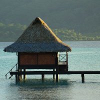 Pilotis (@pilotisml) 's Twitter Profile Photo