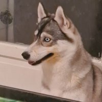 Draagg (@draagg1) 's Twitter Profile