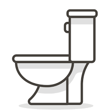 Divulgación del impacto de los baños públicos en nuestra salud y calidad de vida / Public toilet science: how  bathroom use affect people's life quality