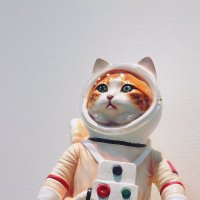 The Flashtronauts! (@flashtronauts) 's Twitter Profile