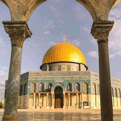 Samar79484792's profile picture. لا شيء يستحق