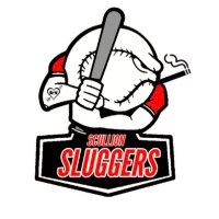 Scullion Sluggers (@sluggers_2021) 's Twitter Profile