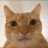 NotNotTreefork's profile image