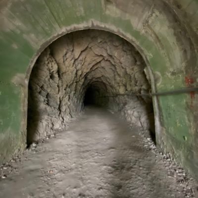 fujinyu03's profile picture. 