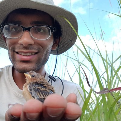 Junior Research Fellow at Jesus College, University of Cambridge, studying species interactions and coevolution in birds