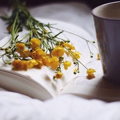 Silentgrief2's profile picture. وإذا زاد الشعور .. قل الكلام !