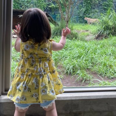 R2.1月生まれ5歳とR4.11月生まれ2歳の姉妹育児中。 ♡コナン/東海オンエア/つば九郎/SUPER EIGHT/錦戸亮/令和ロマン