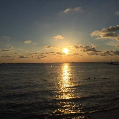 callmekhoi's profile picture. ...