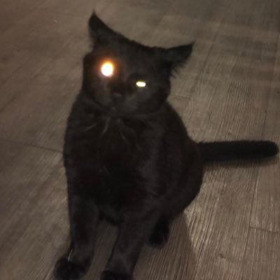 naptimecity's profile picture. you think idk, but ik