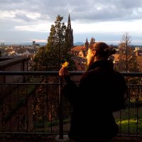 Servane de Pastre (@servanedepastre) 's Twitter Profile
