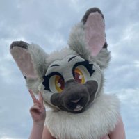 Shichimi💛 (@_shi_chimi) 's Twitter Profile