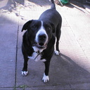 David Joyce - @Davidjoyce50 - Twitter