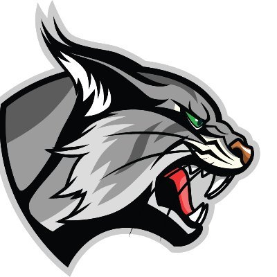 The official Twitter for Lincoln College Lynx Men's Soccer. Proud member of the NAIA and the CCAC.