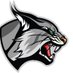 Lincoln College Men's Soccer (@lynxmenssoccer) Twitter profile photo Lincoln College Men's Soccer (@lynxmenssoccer) Twitter profile photo