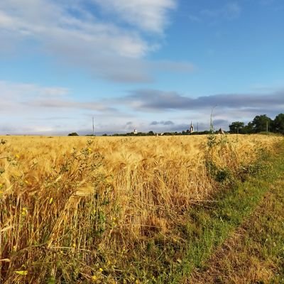 la campagne, un pur nonheur