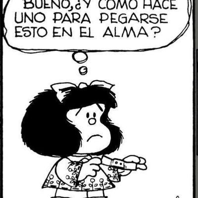 chofs's profile picture. 